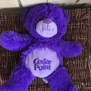 Cedar point bear